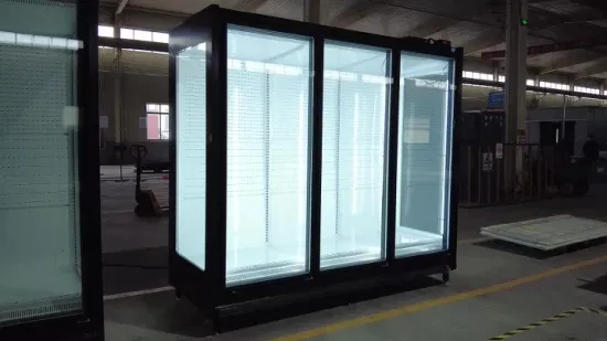 Commercial Refrigerator Full Glass Door Display Showcase for Beverage/Fruit and Vegetable Freezer