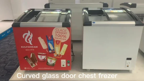 Commercial Fridges Factory Price Curved Sliding Glass Door Freezer for Chicken Fish Seafood Ice Cream